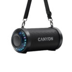 Canyon Wireless Outdoor Speaker